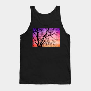 Ash Tree Sunset Tank Top